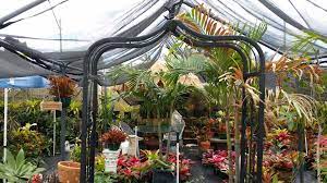 3 elaine avenue, avalon beach nsw 2107. Family Produce Palm Beach Flowers Shop 7620 S Dixie Hwy West Palm Beach Fl 33405 Yp Com