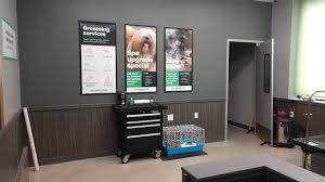 What can you buy at pet supplies plus? Pet Supplies Plus Ksw Construction