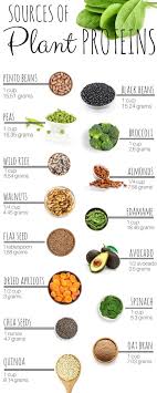 Sources Of Plant Protein In 2019 Healthy Eating Healthy
