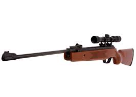 Winchester model 62 pump action rifles the ultimate gallery gun several models of winchester 62 pump action rifles. Air Rifles Refurb Daisy Winchester 1250ws 177 Cal Break Barrel Hardwood Stock Air Rifle Air Guns Slingshots Sporting Goods