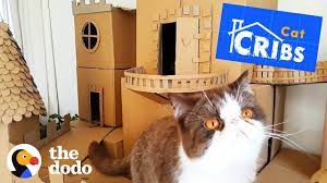 The World S Most Epic Cat Cribs The Dodo Youtube