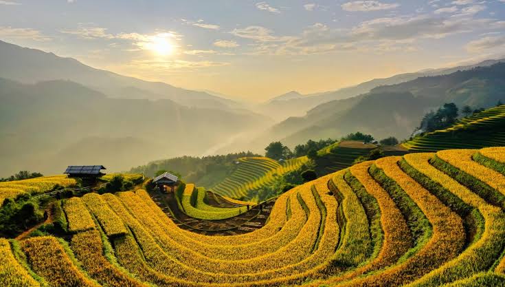 Trekking Lùng Cúng - Bước qua mùa vàng | Viettrekking