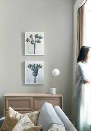 Huge paint inventory · leading brands in stock Gray Paint Ideas Benjamin Moore
