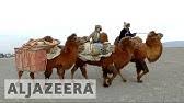 Sajandil, inimesed vaatavad camel caravan (2012) kodust lahkumata. Camel Caravan 2019 Youtube