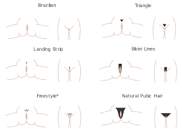 When you have your pubic hair waxed, you'll save a lot of time on shaving trimming, and more. Top Graphic Of Male Pubic Hairstyles Floyd Donaldson Journal