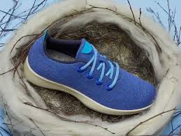 Maybe you would like to learn more about one of these? We Ve Tested Almost Every Pair Of Shoes Allbirds Has Ever Made Here S What You Can Expect From Each Style And What To Consider Before Buying Businessinsider India