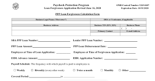 What disaster loan programs offer loan forgiveness? Ppp Loan Forgiveness Everything You Need To Know Bnc Tax