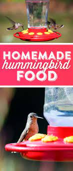 If you see any take the feeder down and throw the bird food away. Hummingbird Food Recipe