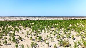 Find what to do today, this weekend, or in july. Friesland Wikiwand