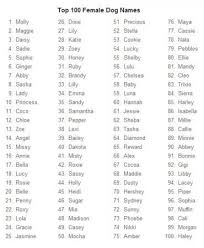 0cf39363a5211a5a5710e8952cd3fc06 Jpg 370 450 Dog Names Boy Dog Names Female Dog Names