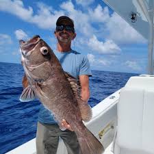 Lyndon Carter (@angeldancerfisheries) • Instagram photos and videos