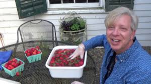 How to freeze strawberries without losing their juicy flavor. How To Freeze Strawberries Kevin Lee Jacobs