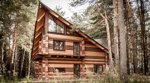 We did not find results for: Log Cabin Plans