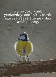 Birds That Start With I No Matter What Yesterday Was Like Birds Always Start The New Day With A Song In 2020 Thought For Today New Day Songs
