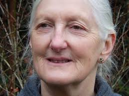 Nachrichten aus dem Projekt