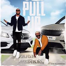 Triga Pull Up Ft Medikal Mp3 Download