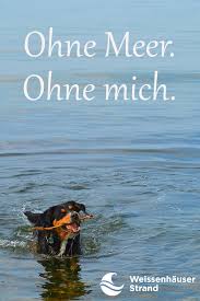 Urlaubsspruche Weissenhauser Strand Camping Ostsee Weissenhauser Strand Ostsee Urlaub