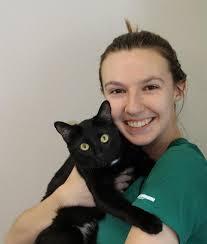 Experienced Veterinarians