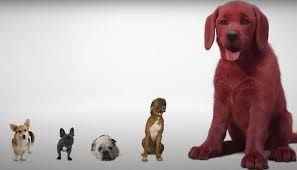 Bob clifford is the founder of clifford law offices, which concentrates its practice in helping victims of personal injury, medical malpractice, mass torts, consumer and health care fraud, product liability, and. See The Clifford Live Action Look Bewildering The Internet Alternative Press