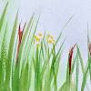 So you should always maintain your lawn … Https Encrypted Tbn0 Gstatic Com Images Q Tbn And9gcqxwufpf4e6ltdcajohgwbrauxhoplqu3fxjr7xpirb3nntkl4a Usqp Cau