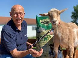 Apr 23, 2020 · how much does dr brenda make per episode? Dr Jan Pol Net Worth Age Facts Vetshows