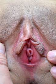 Secret Pussy Collection: Nobuko Kato 秘蔵マンコセレクション 〜信子のおまんこ見てください〜 フェラチオエロ動画  Fellatio Gallery