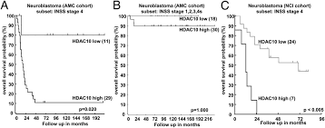 Maria alejandra silva zepeda we found 100+ records for maria alejandra silva zepeda in california, florida and 40 other states.select the best result to find their address, phone number, relatives, and public records. Histone Deacetylase 10 Promotes Autophagy Mediated Cell Survival Pnas