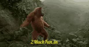 Animated smiley faces funny emoji faces animated emoticons funny emoticons funny dancing gif dancing animated gif cute cartoon pictures gif pictures dancing emoticon. Funny Dance 2muchfun