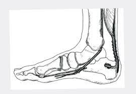 Praxis Leonardo Arzte Fur Orthopadie Und Traumatologie