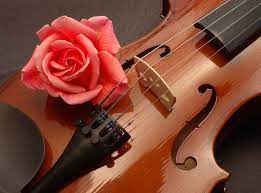 Classical Music Inspired By Flowers Violin Classical Music Music