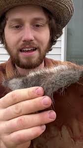 Tan Hides Using Tree Bark! #traditional #outdoors #survival #camping  #sustainable #howto