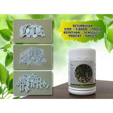 📌 herba ini sangat sesuai untuk semua jenis kanser termasuk juga prostate, buasir, cyst, fabroid dan ulser dalam perut. Ubi Keladi Tikus Asli Rawatan Alternatif Shopee Malaysia