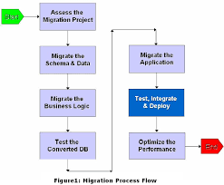 40 Efficient Migration Flow Diagram