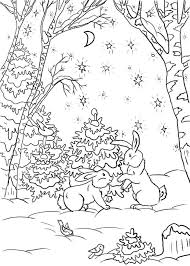 Winter Solstice Coloring Pages In 2020 Animal Coloring Pages Coloring Pages Winter Bird Coloring Pages