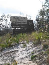 The location offers deeply shaded sites within walking distance of some of florida's most beautiful natural springs. Ocala National Forest Camping Cabins