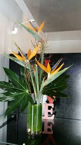 Bird Of Paradise Arrangement Ideas Bird Of Paradise Arrangement Flower Arrangements Floral Flowers