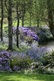 Image Result For Wild And Scenic Gardens With Images Woodland Garden Dream Garden Gorgeous Gardens