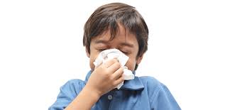 We would like to show you a description here but the site won't allow us. Influenza Flu Cdc