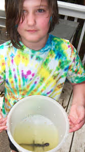 I had no idea what a Salamander was !