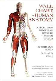 Amazon Com Wall Chart Of Human Anatomy 9780971007000