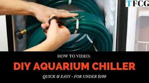 We did not find results for: Diy Aquarium Chiller Quick Easy For Under 100