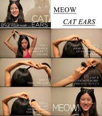 Hair Cat Ears Ear Hair Crazy Hair Days Crazy Hair