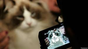Por Que Ver Videos De Gatos Por Internet Puede Ser Bueno Para La Salud Bbc News Mundo