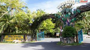 Aktiviti menarik di taman herba nasuha. Nasuha Herbs Spice Farm The Largest Herbs Spices Plantation In Asia