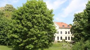 Sie haben alle informationen, kontaktdaten und öffnungszeiten zu rosengarten in marihn problemlos auf ortsdienst.de gefunden? Schloss Marihn Penzlin Holidaycheck Mecklenburg Vorpommern Deutschland