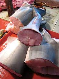 From the verse below, sharks and any meat from those animals that live in the sea are allowed, ergo shark fish is halal. Is Shark Halal Subscribe To Rss