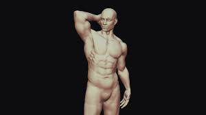 ★ you can rotate models to any angles and zoom in and out ★ remove structures to reveal the anatomical structures below them. Male Anatomy Reference Pose Buy Royalty Free 3d Model By Devin Eggleston Deggleston 5256dfd
