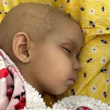 Fundraiser by Mary Davy : Meilani final expenses