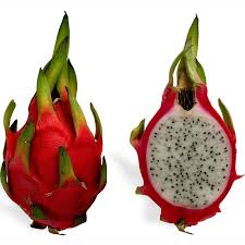 Drachenfrucht {f} dragonfruit hylocereus undatusbot.t dragon fruitbot.t red pitaya [hylocereus undatus, syn.: Drachenfrucht Pitahaya Samen Preis 2 35