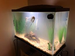 My Water Is Super Cloudy I Ve Tried Water Changes Clarity Checking Filter And My Levels Are All Normal It S A White Cloudiness There Is Also A Foam At The Top Of My